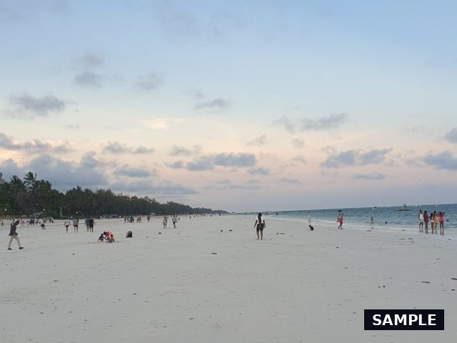 Sample photograph for 1 Acre Beach Plot in Diani