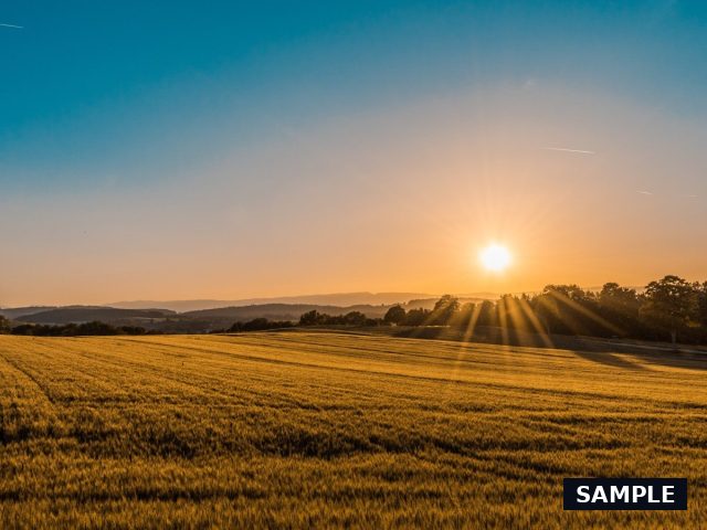 Sample photograph for 50x100 Plot in Mlolongo